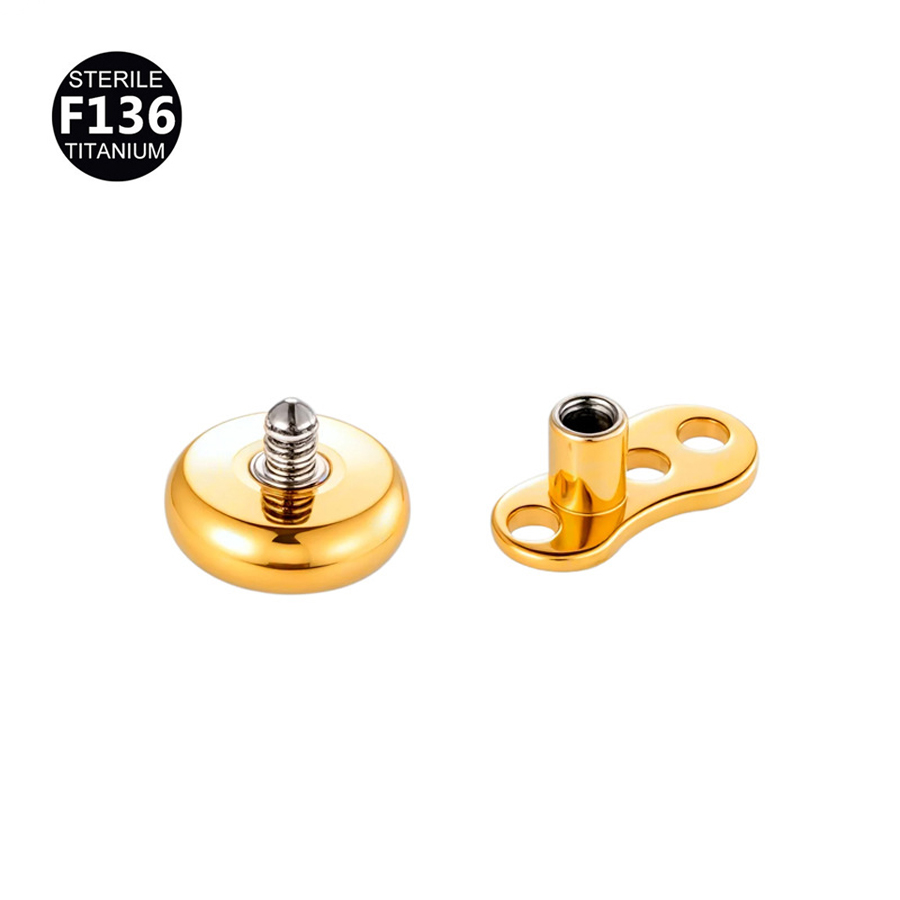 1Pc F136 Titanium 14G Internal - Dermal Anchor Top recension och pris