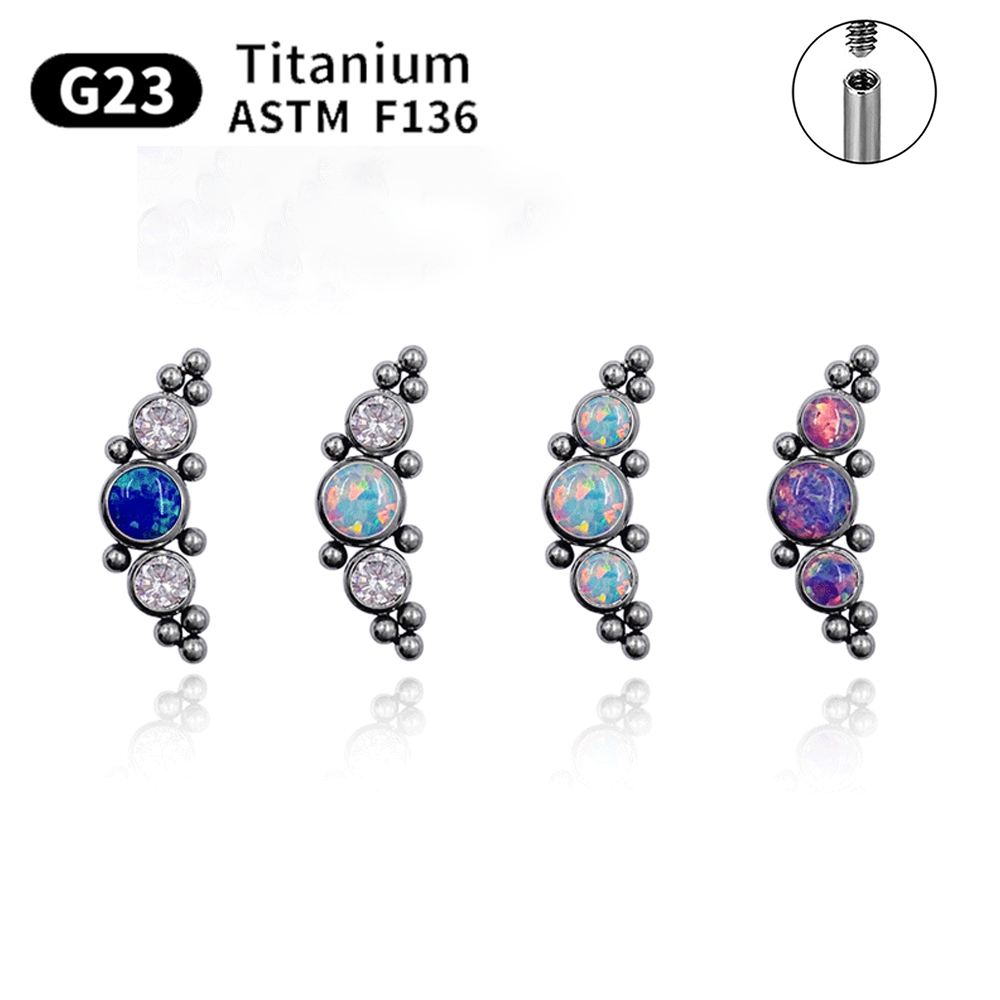 G23 Titanium Stud Earrings for - Body Jewelry Labret recension och pris