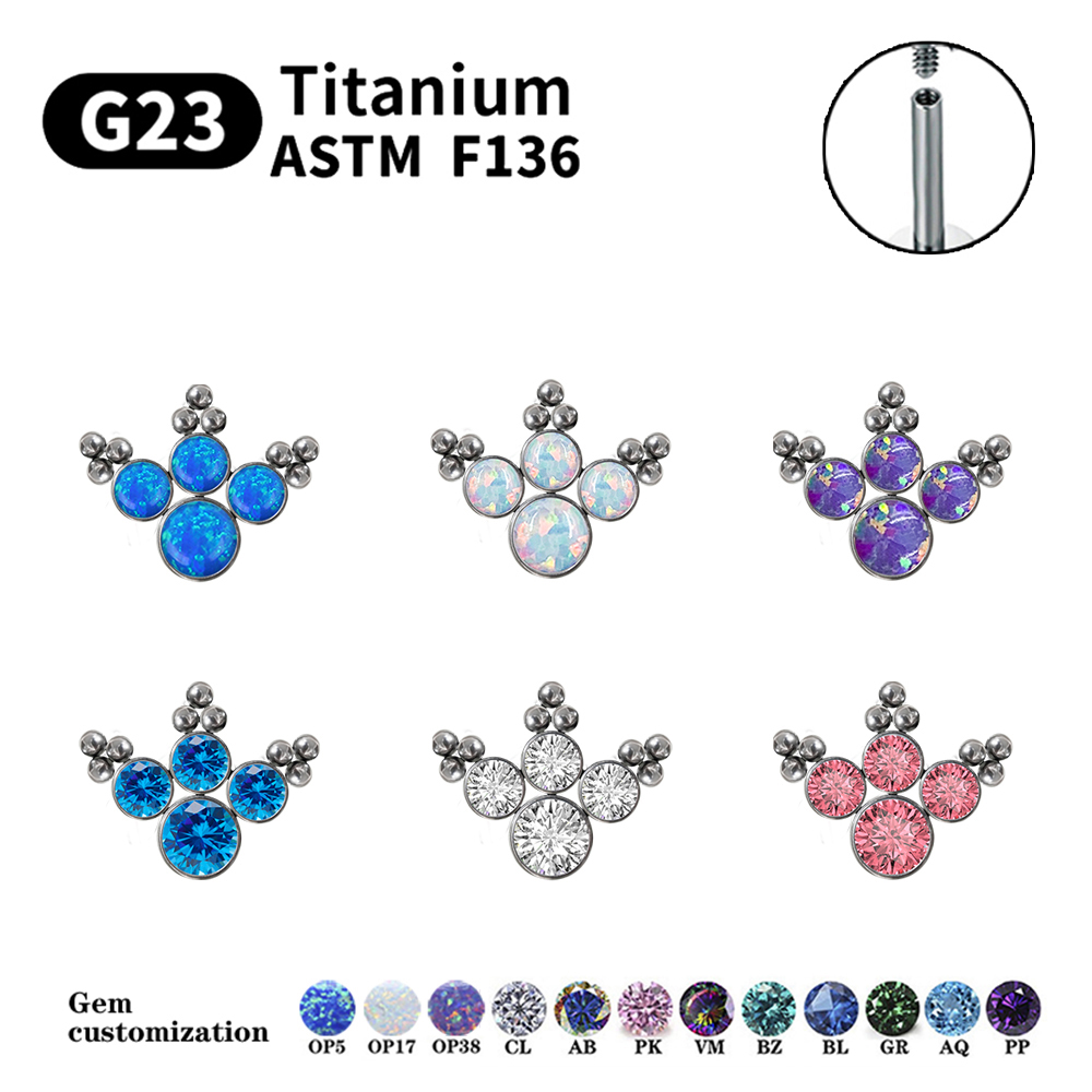 G23 Titanium Piercing Stud Ear - Body Jewelry Labret recension och pris